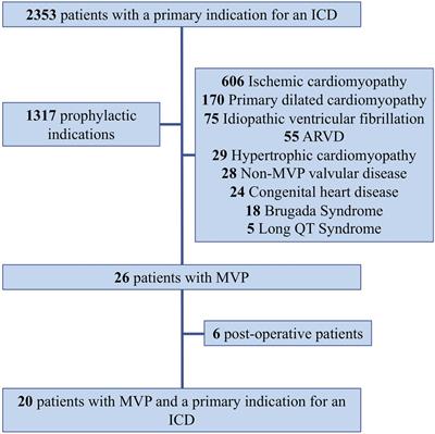 Myocardial deformation in malignant mitral valve prolapse: A shifting paradigm to dynamic mitral valve–ventricular interactions